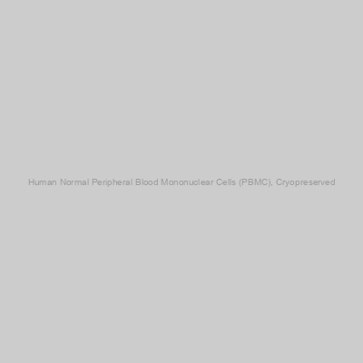 Human Normal Peripheral Blood Mononuclear Cells (PBMC), Cryopreserved
